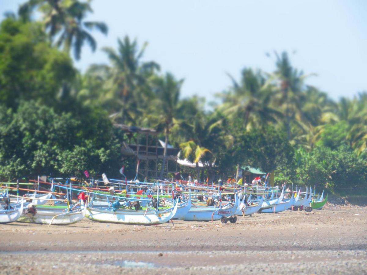Kelapa Surf Villa Pulukan Exterior photo